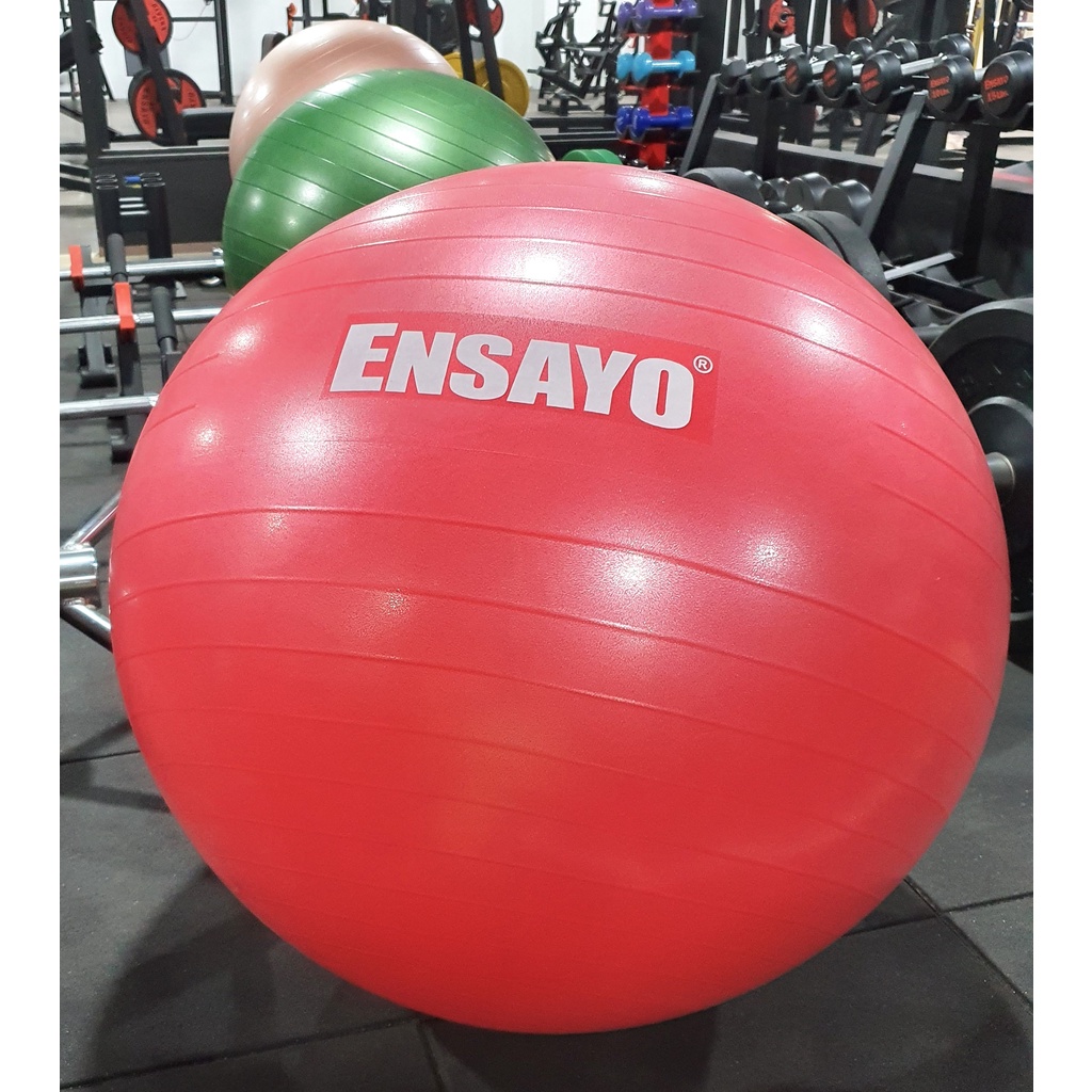 ENSAYO Stability Ball 40 To 75 Cm Core/Swiss Balance Gym Rehab Balls ...