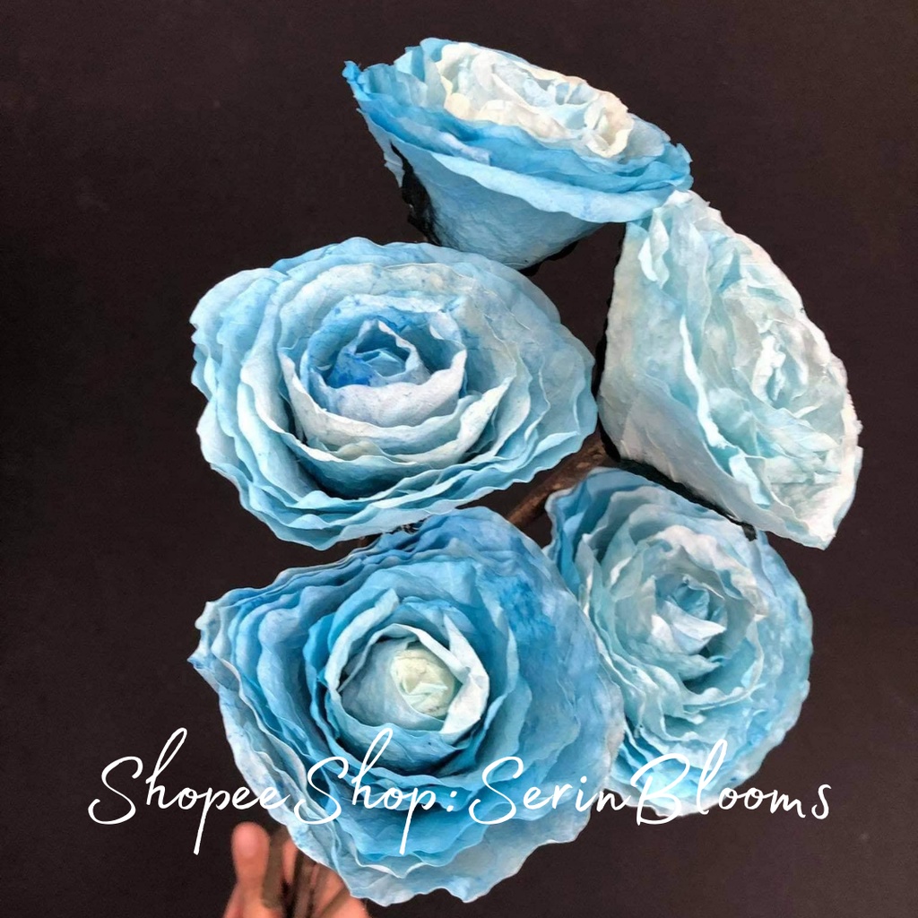 Fossilized Rose(1 stem only) | Shopee Philippines