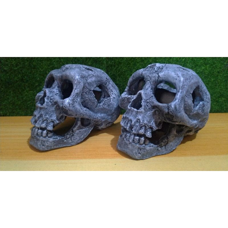 Photo inspiration: Fresh Look at 𝟑𝐊𝐈𝐍𝐆𝐒 Ceramic Skull Aquarium Decorations And Tarantula And Reptile