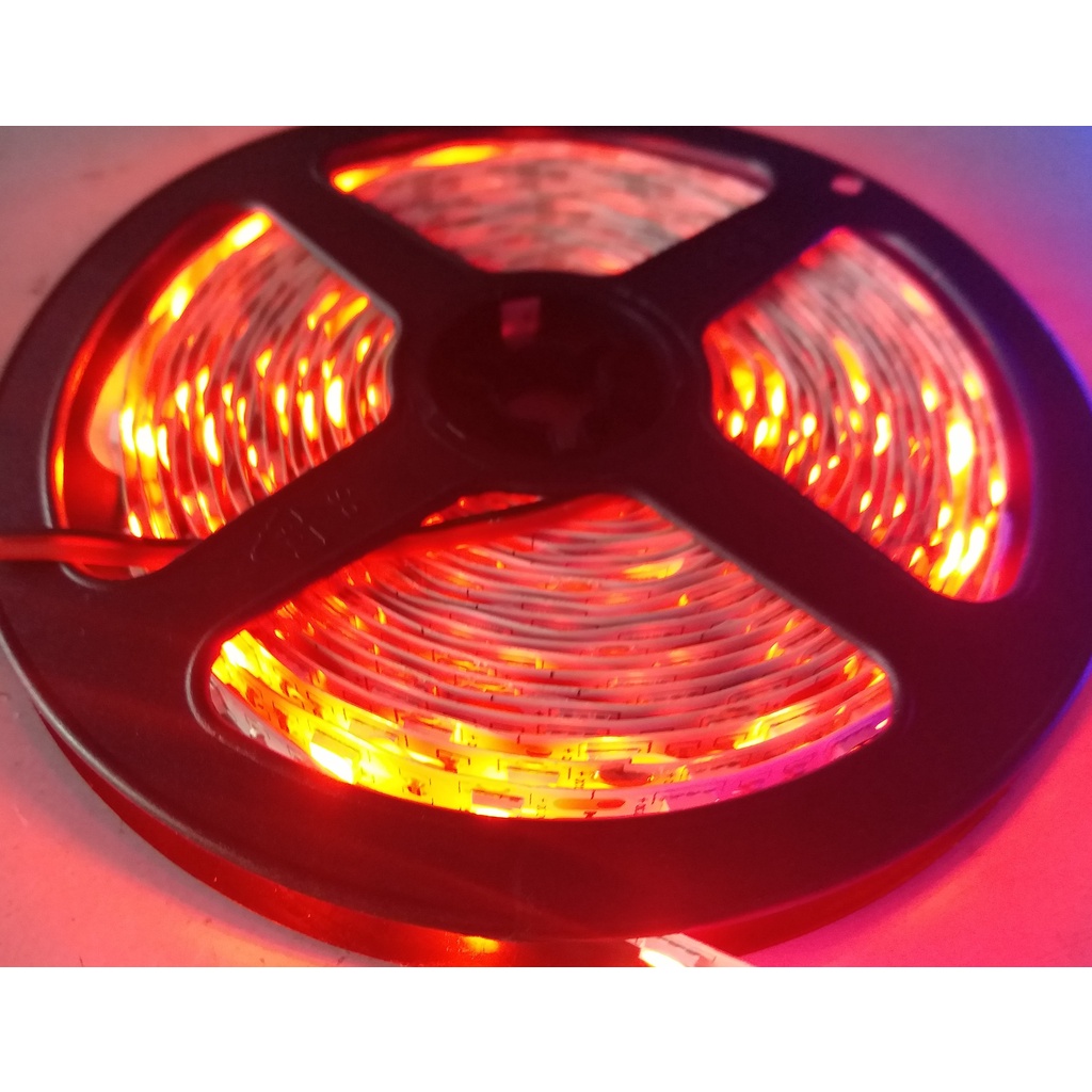 LED Strip Light 12V (5 meters, one color) Strip Light Only Shopee