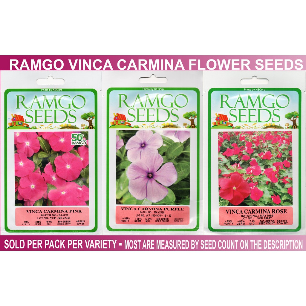 Ramgo Vinca Carmina Flower Seeds Sold