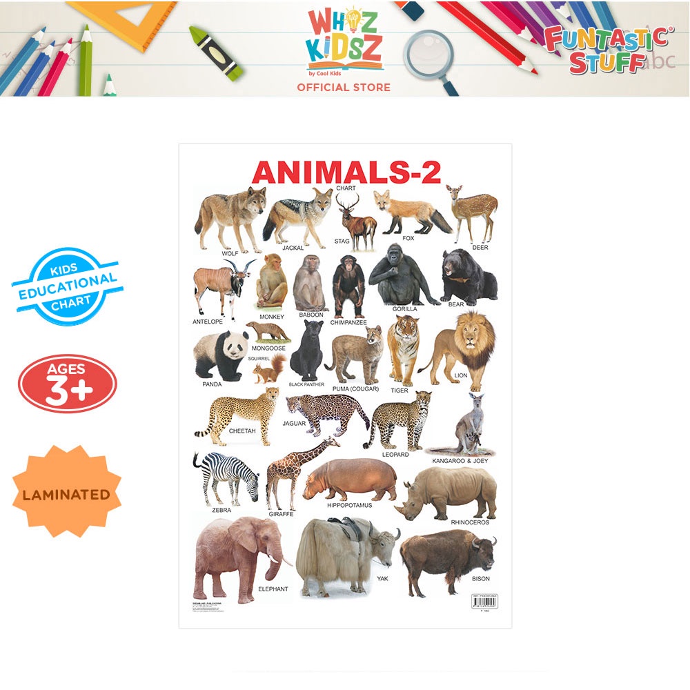 Whiz Kidsz Animals - 2 Laminated Wall Chart, Educational Chart For Kids 