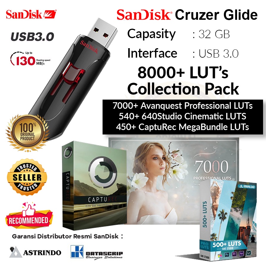 Sandisk 32GB Original Flash Drive 8000+ LUTs Collection Pack ...