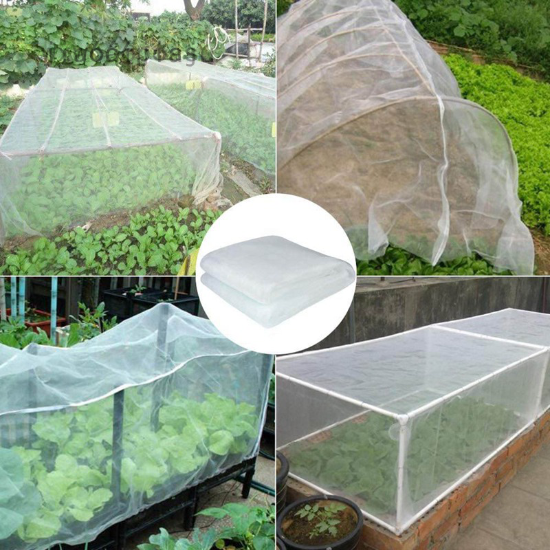 jiacaijaiju Firlar Insect Protection Netting, Garden Vegetable Protective Mesh  Net White Plant Covers, Grow Tunnel Fine Mesh Plant Protection Netting  Fruits Flowers Crops Greenhouse