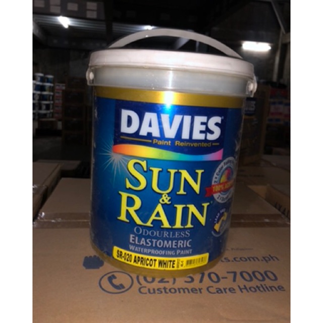 Sun and Rain Elastomeric Paint | Shopee Philippines