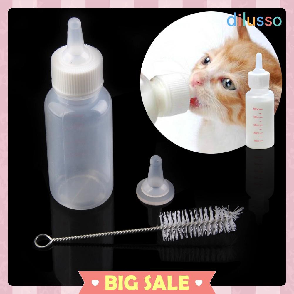 Nipple bottle shop for kittens