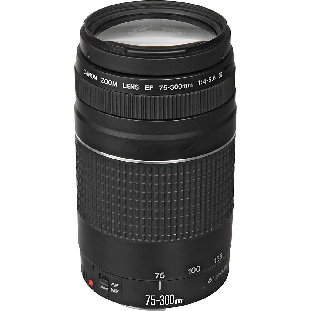 キャノン EF 75-300mm 1:4-5.6 Ⅱ ウルトラソニック 現状品! キャノン EF 75-300mm 1:4-5.6 Ⅱ ウルトラソニック 現状品!