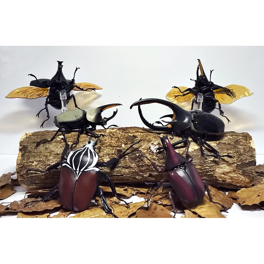 Hercules beetle toy hotsell