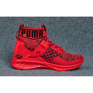 Puma ignite cheap evoknit sale