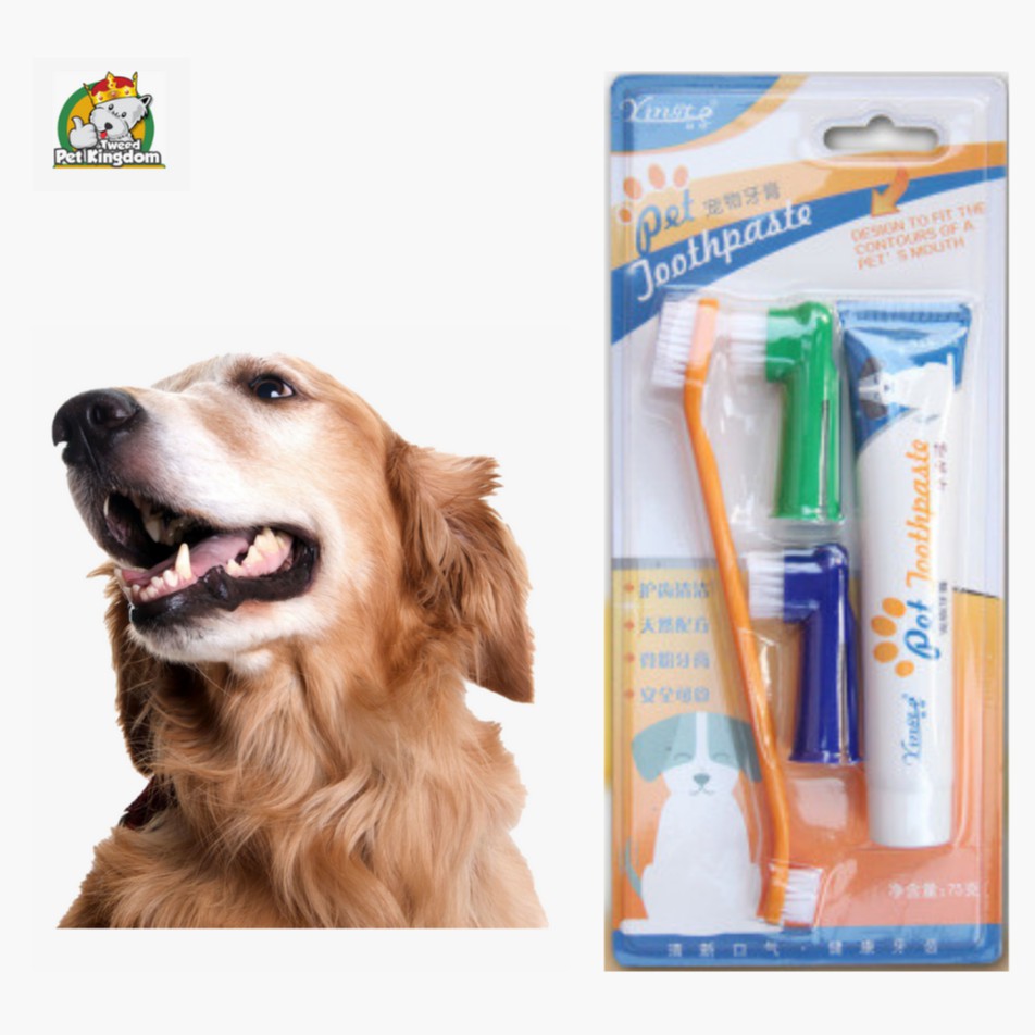 Pet Toothpaste Puppy Toothpaste Toothbrush Set Medium Large Dog Oral