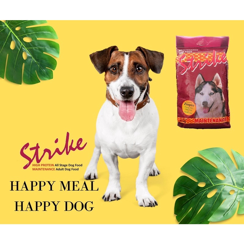 Strike Dog Food ADULT 21 CP / Zinpro 1kg Shopee Philippines