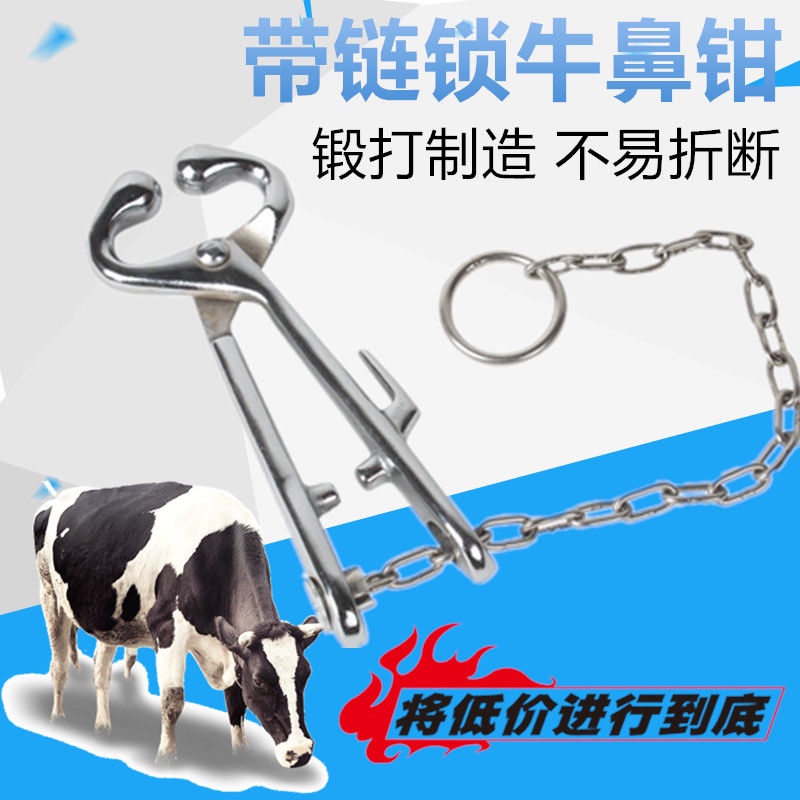 Stainless Steel Bull Holder with Chain Cattle Stabilizer Cattle Farm