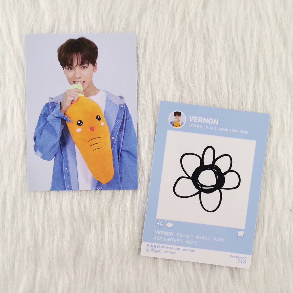 SEVENTEEN トレカファイル HARU (SEVENTEEN 2019 Haru Tour SEVENTEEN トレカファイル HARU (SEVENTEEN 2019 Haru Tour
