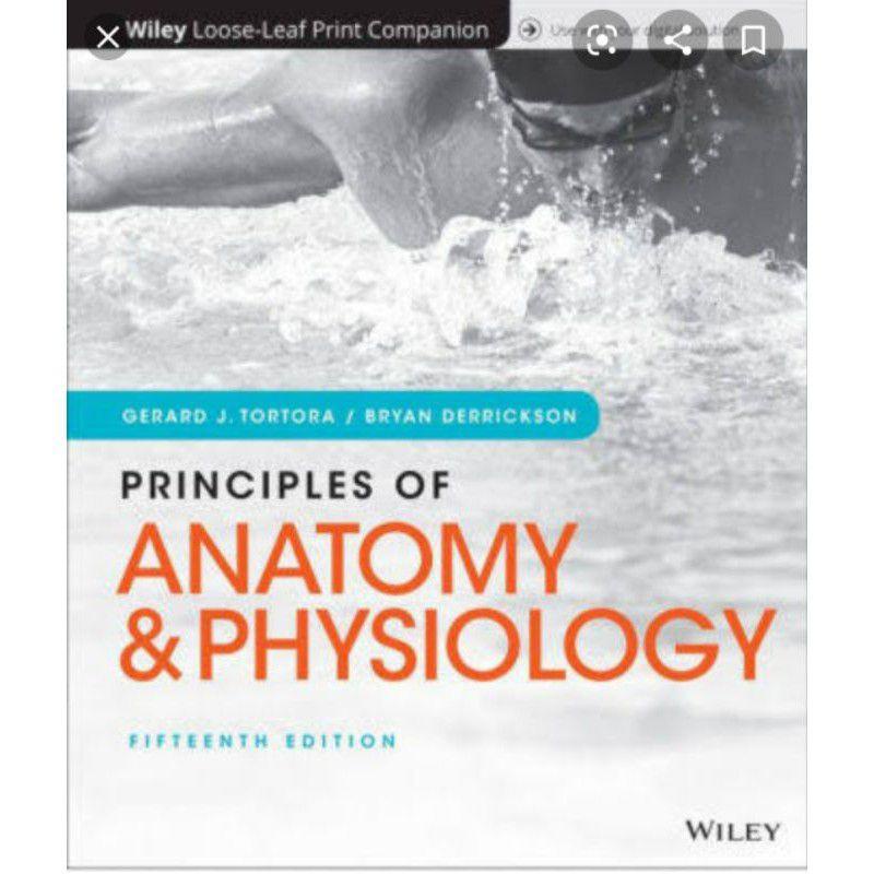 In Stockby Fullsize/A4 Anatomy And Physiology Principles Of 15ed ...