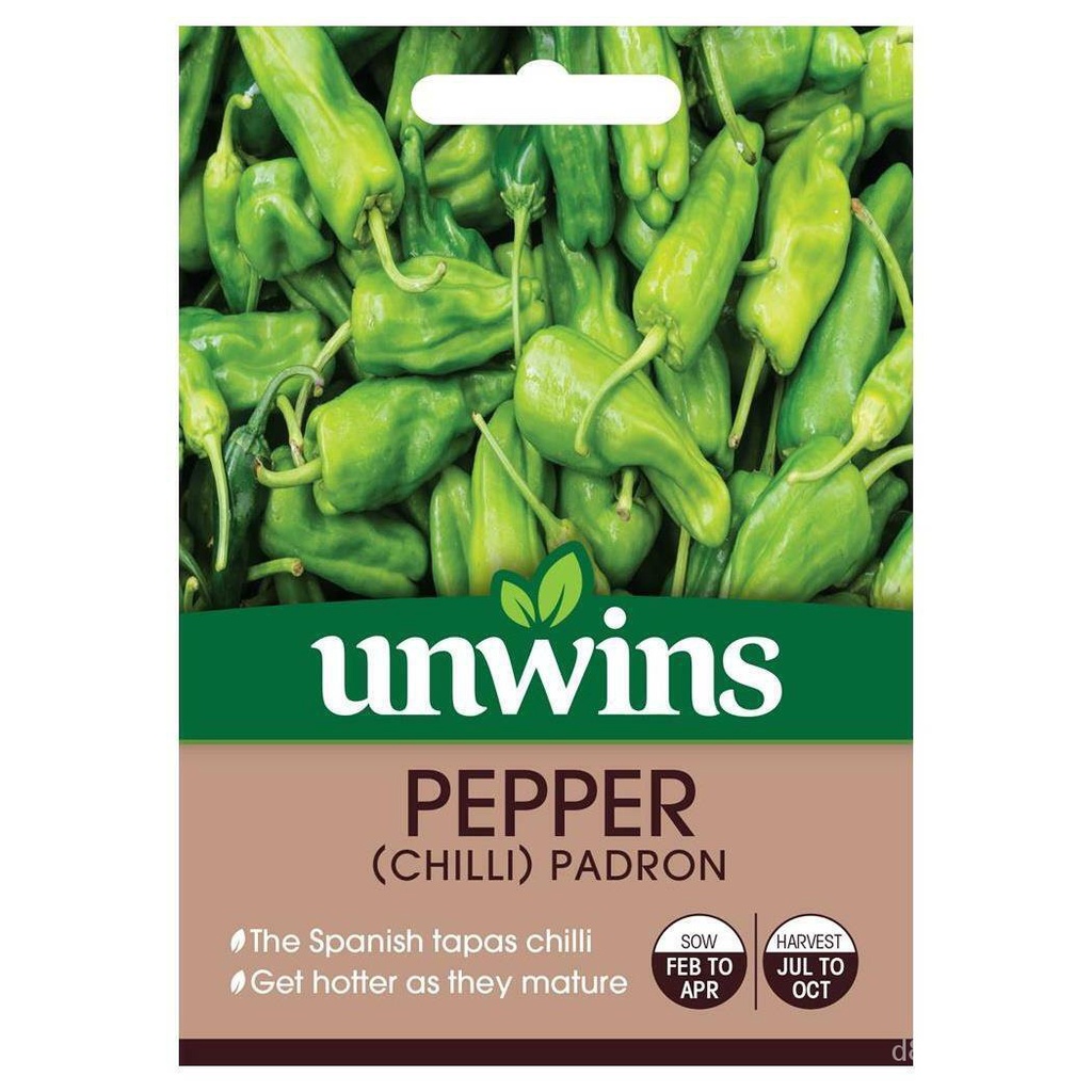 High quality seeds Unwins Chilli Pepper Seeds Padron Spanish Tapas Hot