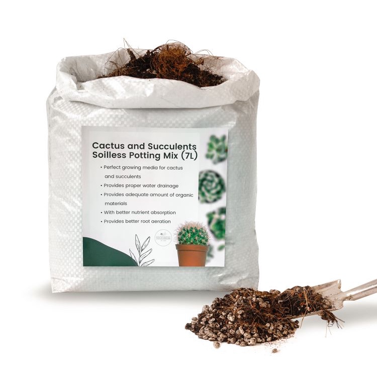 7 LITERS CACTUS AND SUCCULENTS SOILLESS POTTING MIX | Shopee Philippines