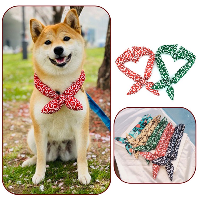 Shiba top with scarf