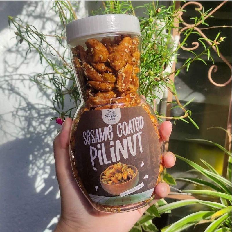 Pili Nuts in Jar 250g from Bicol Shopee Philippines