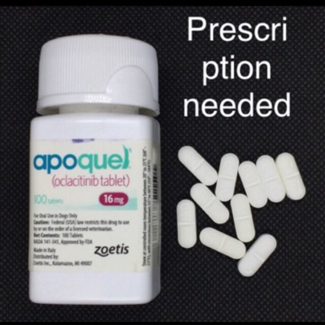 APOQUEL 16 MG SOLD per tablet P200 tab strictly w RX pack of 7 tablets