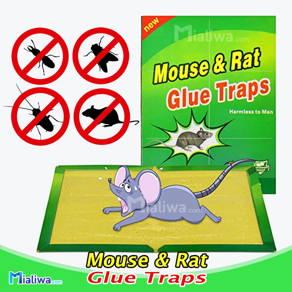 Up To 68% Off on Large Mouse Glue Traps Humane