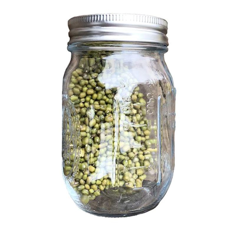 Product image Sprouting Jar with Stainless Steel Screen Lid Wide Mouth Quart Mason Sprouter