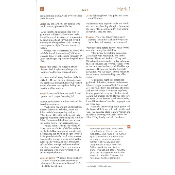 The Voice Bible, Hardcover: Step Into the Story of Scripture (JB ...