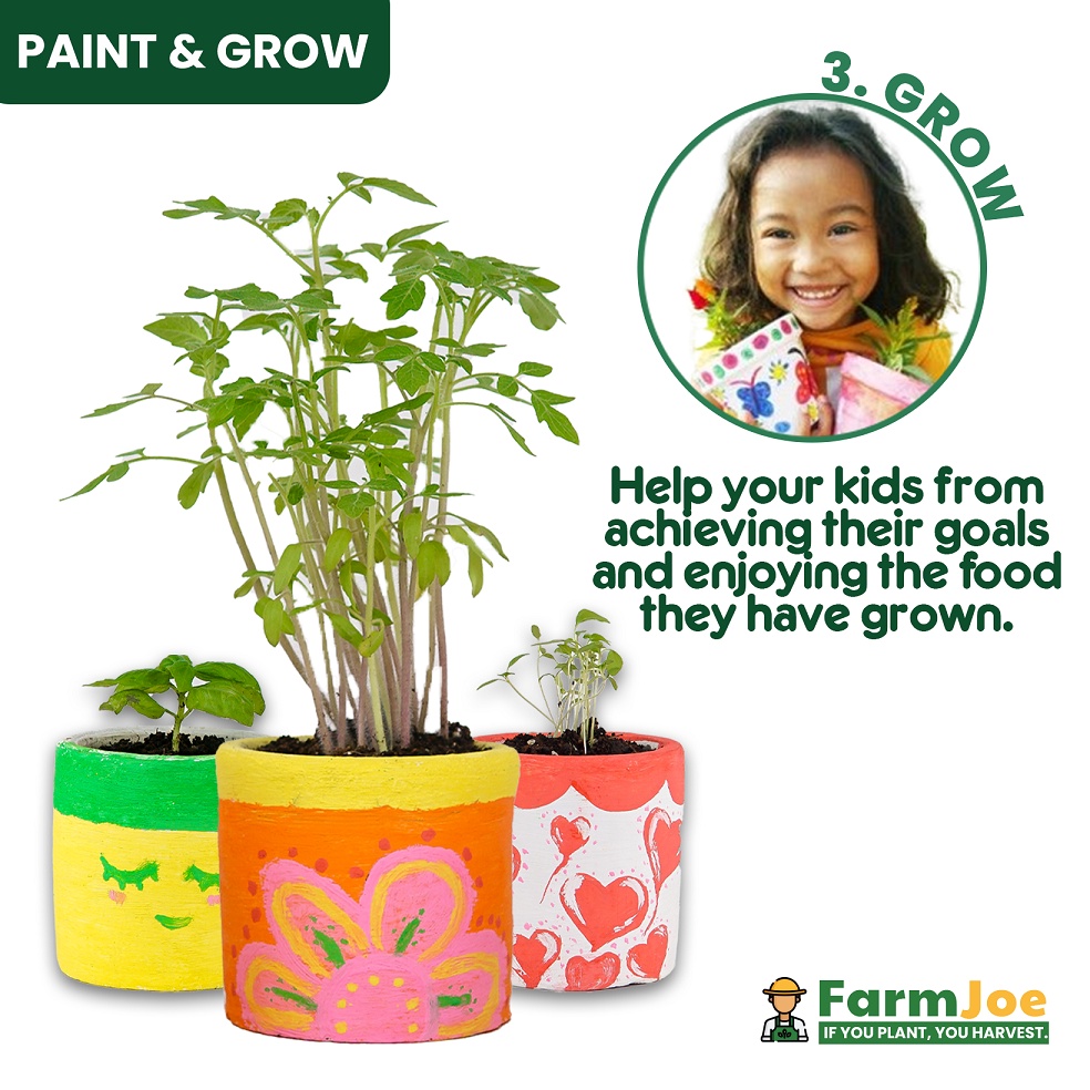 Grow Kit TOMATO • Plant Kit • Paint a pot • Seed Starting Kit • FarmJoe