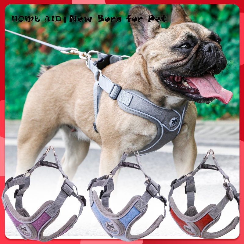 Dog harness cheap shopee