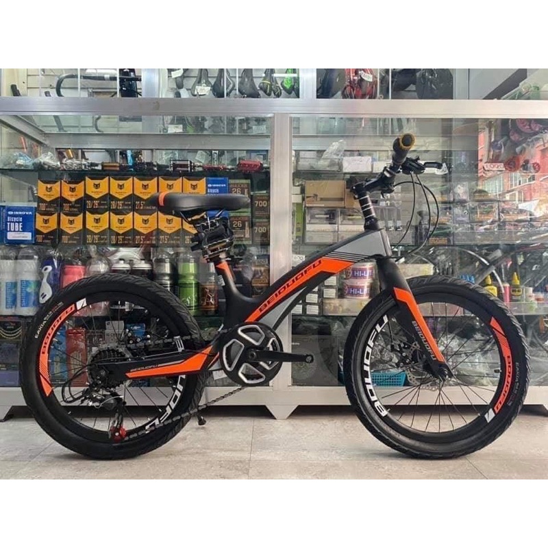 BEIDUOFU ALLOY MINI MOUNTAIN BIKE SIZE 20 kids and adult Shopee Philippines