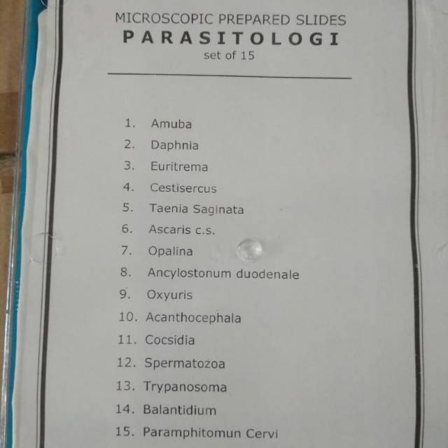 Parasiteology PREPARAT, LABGY PARASITEOLOGY PERAGA PREPARATE EDUCATION ...