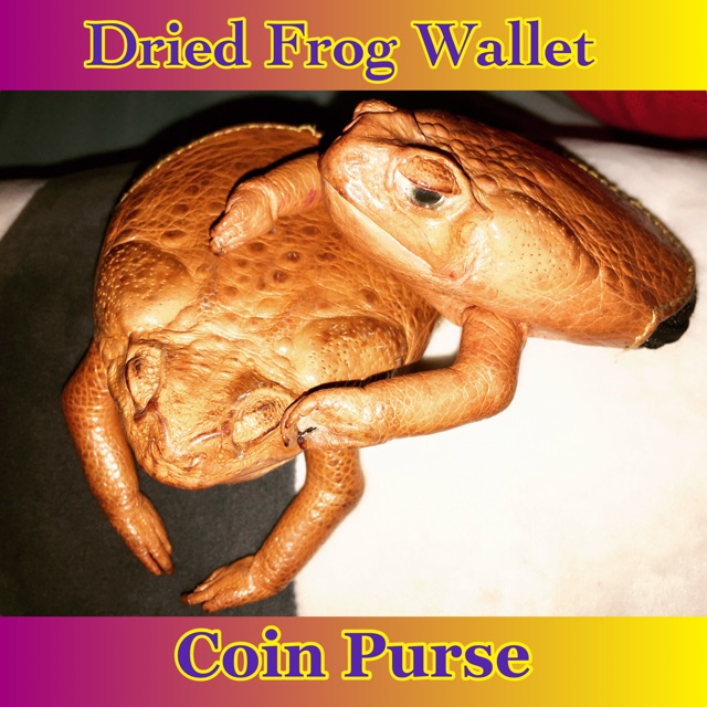 Dried Frog Wallet Coin Purse