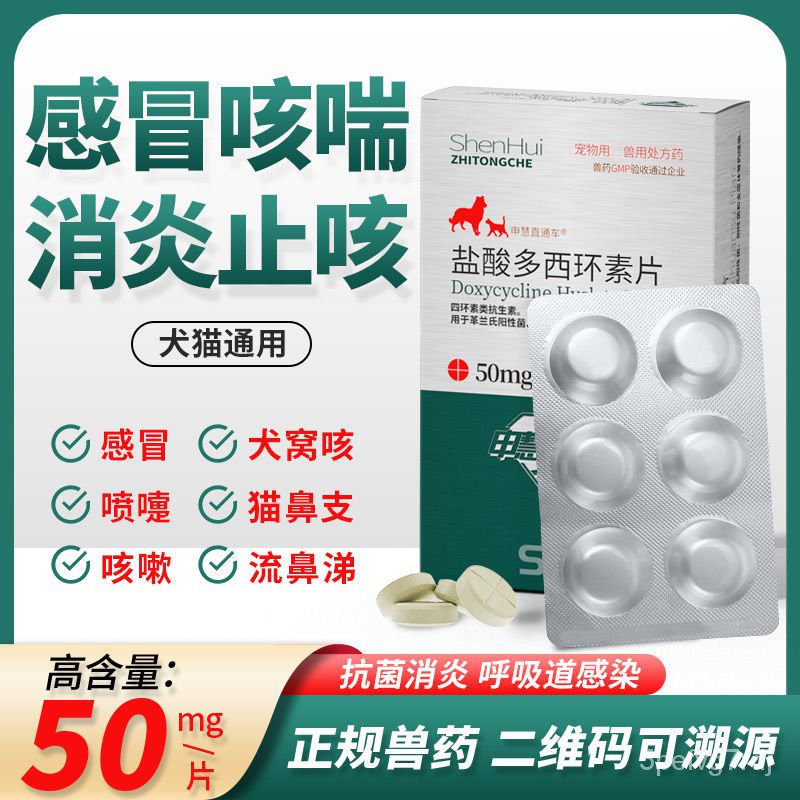 Pet Cold Cough Medicine Cat Using Cough and Asthma Fever, Sneeze and