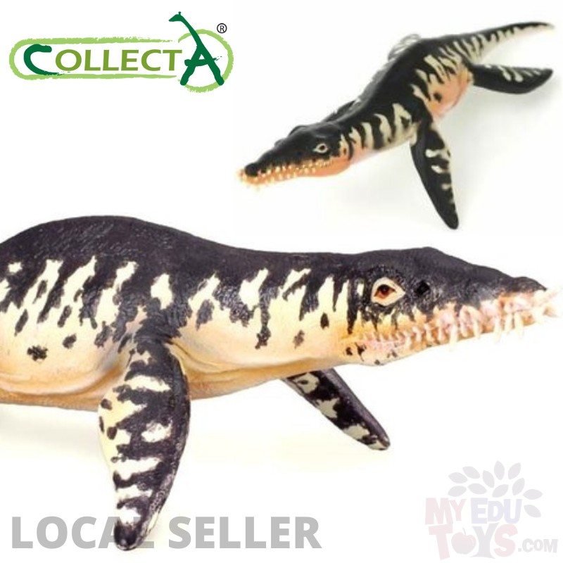 Liopleurodon - Collecta 88237 Prehistoric Life Dinosaur Animal Action ...