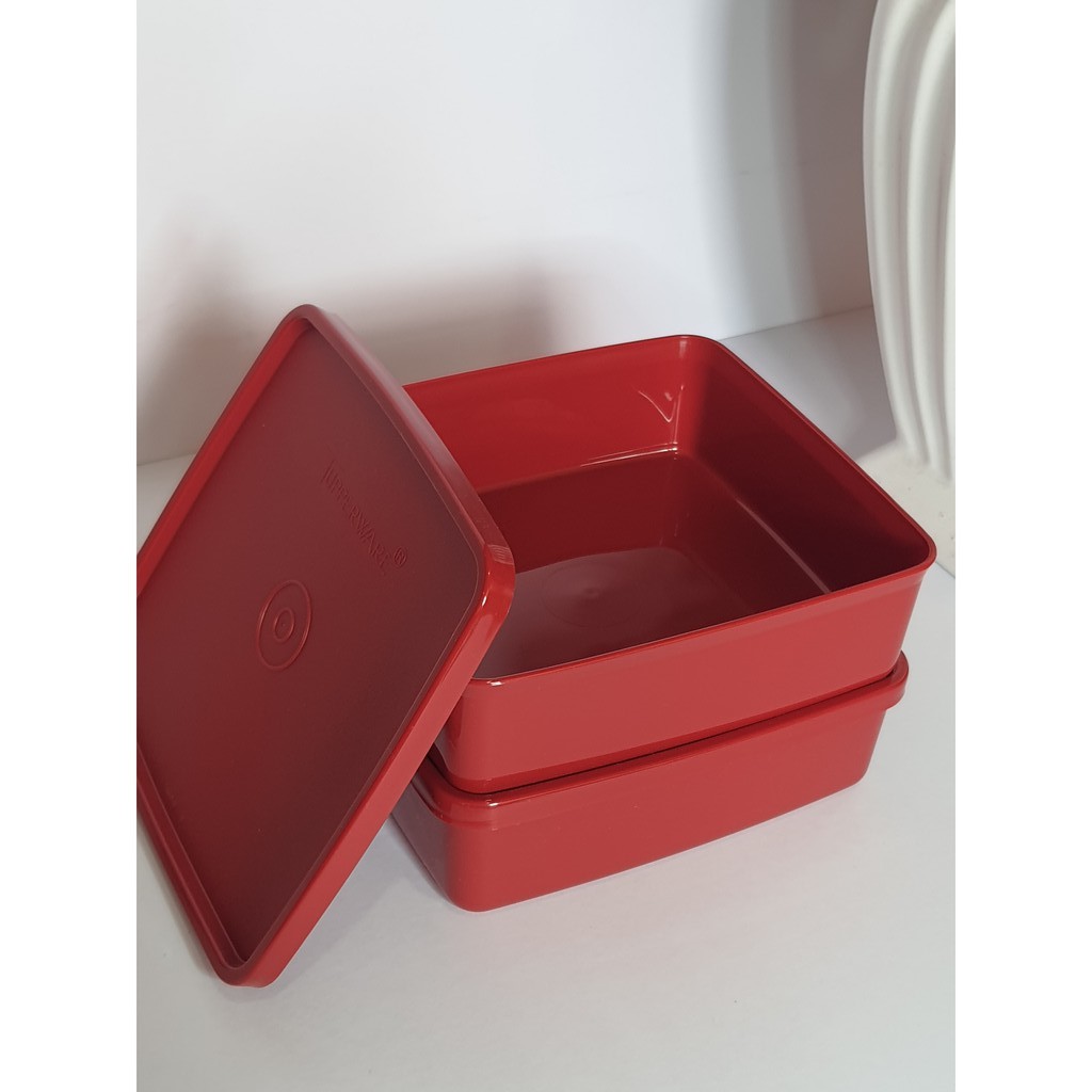Tupperware Large Square Away 620ml (1pc) | Shopee Philippines