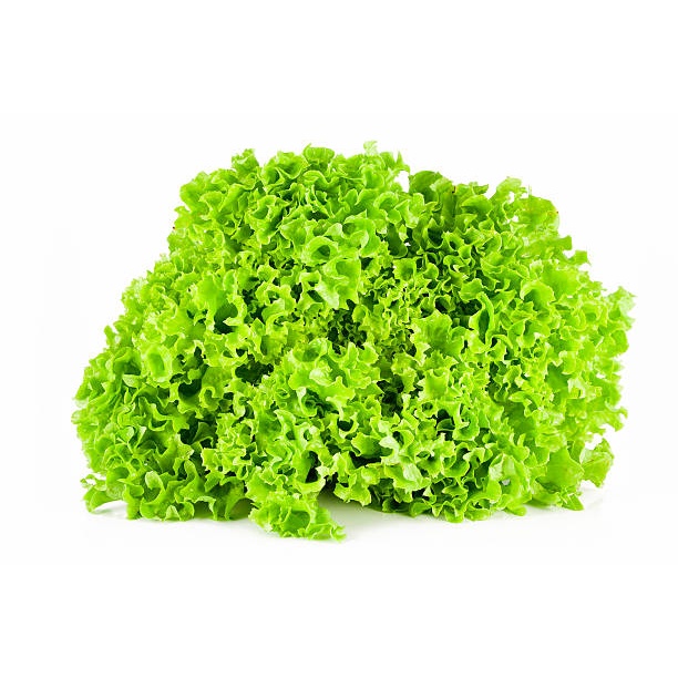 LETTUCE SEEDS - Grand rapid Lollo bionda Lollo rosso Romaine Iceberg ...