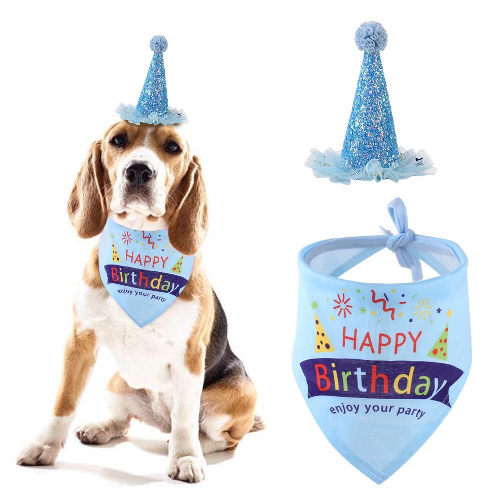 Pet Dog Happy Birthday Hat Bib Set Accessory for Party Shopee Philippines