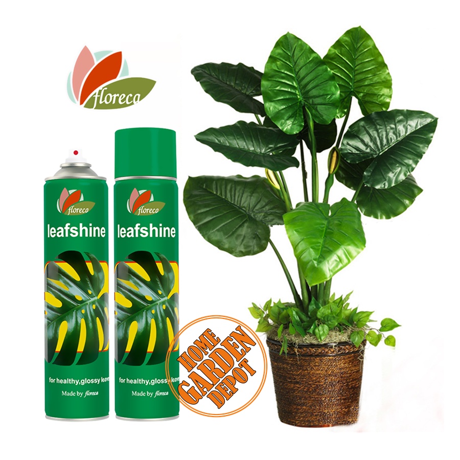 Floreca Leaf shine Spray for plant Leaf Polish and foliage 600ml