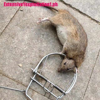 Shop mouse trap for big rats for Sale on Shopee Philippines