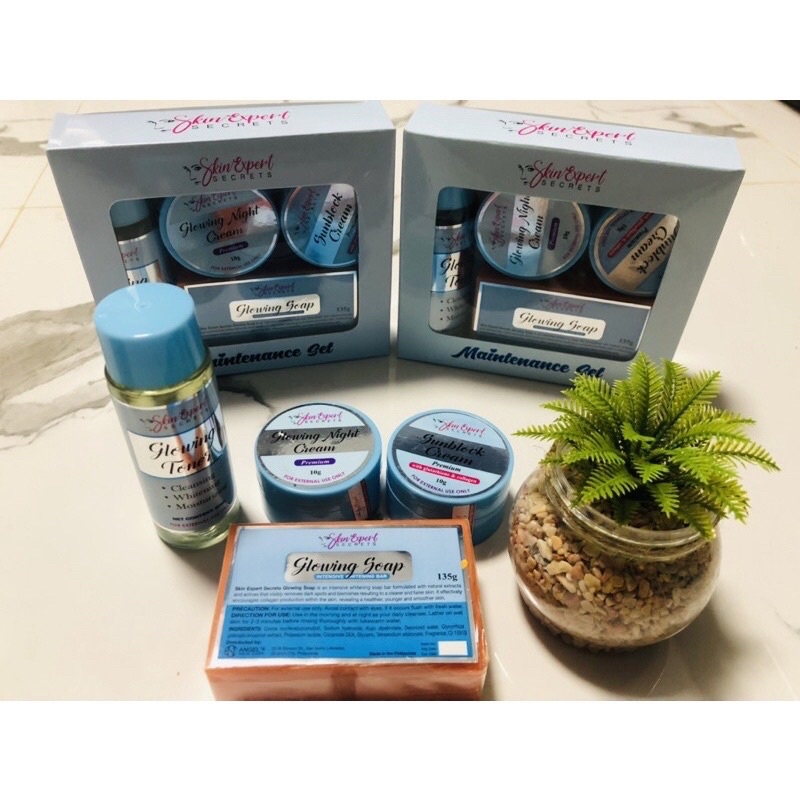 Skin expert secret Maintenance set | Shopee Philippines