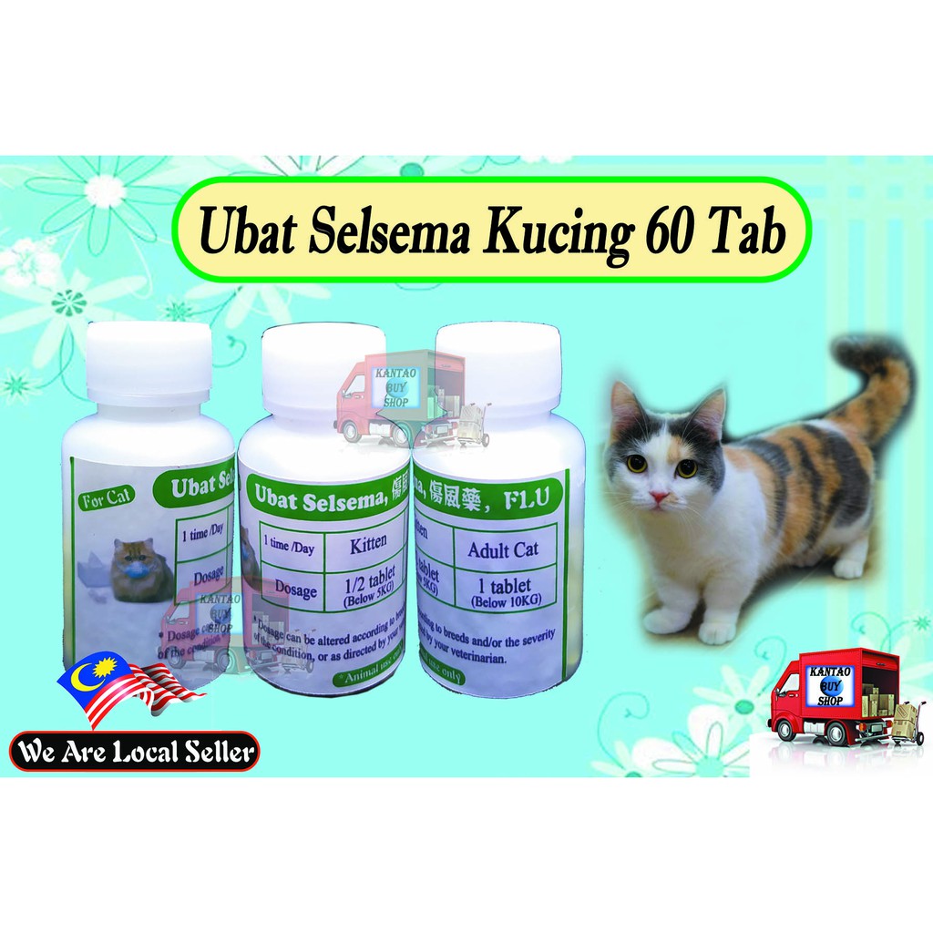 Pack- Ubat Selsema Kucing 60 Tablet | Shopee Philippines
