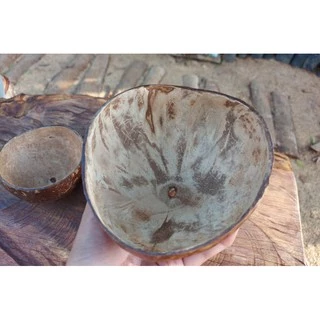 Shop coconut shell for Sale on Shopee Philippines