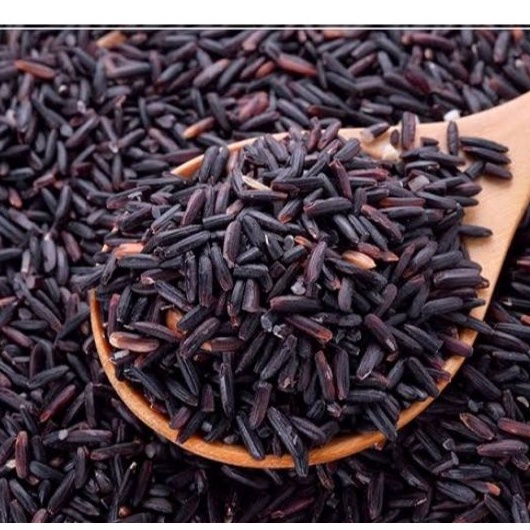 TAPOL SEEDS "PANGTANIM" (GLUTINOUS RICE DARK PURPLE) "Malagkit na bigas
