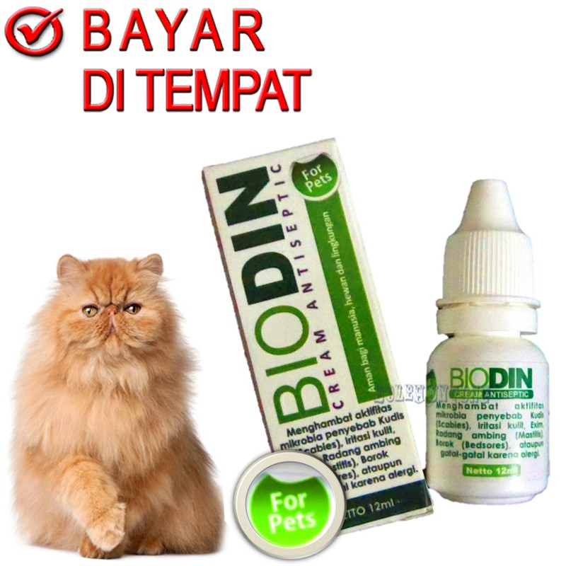 Biodin Antiseptic Medicine Mushroom Cat Dog Rabbit Wound Fracture