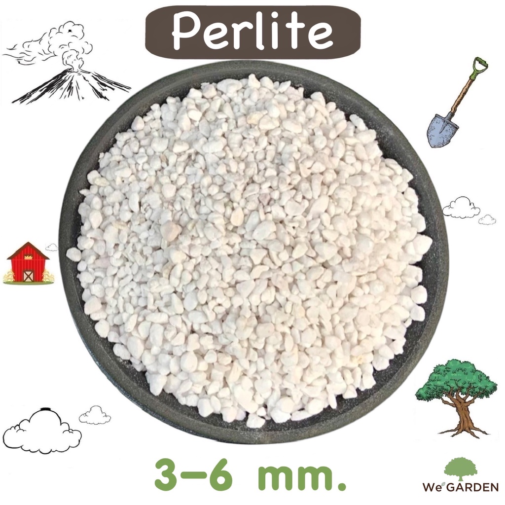 New Perlite 1 Liter 4 Liters Planting Material Mixed With Soil Cactus ...