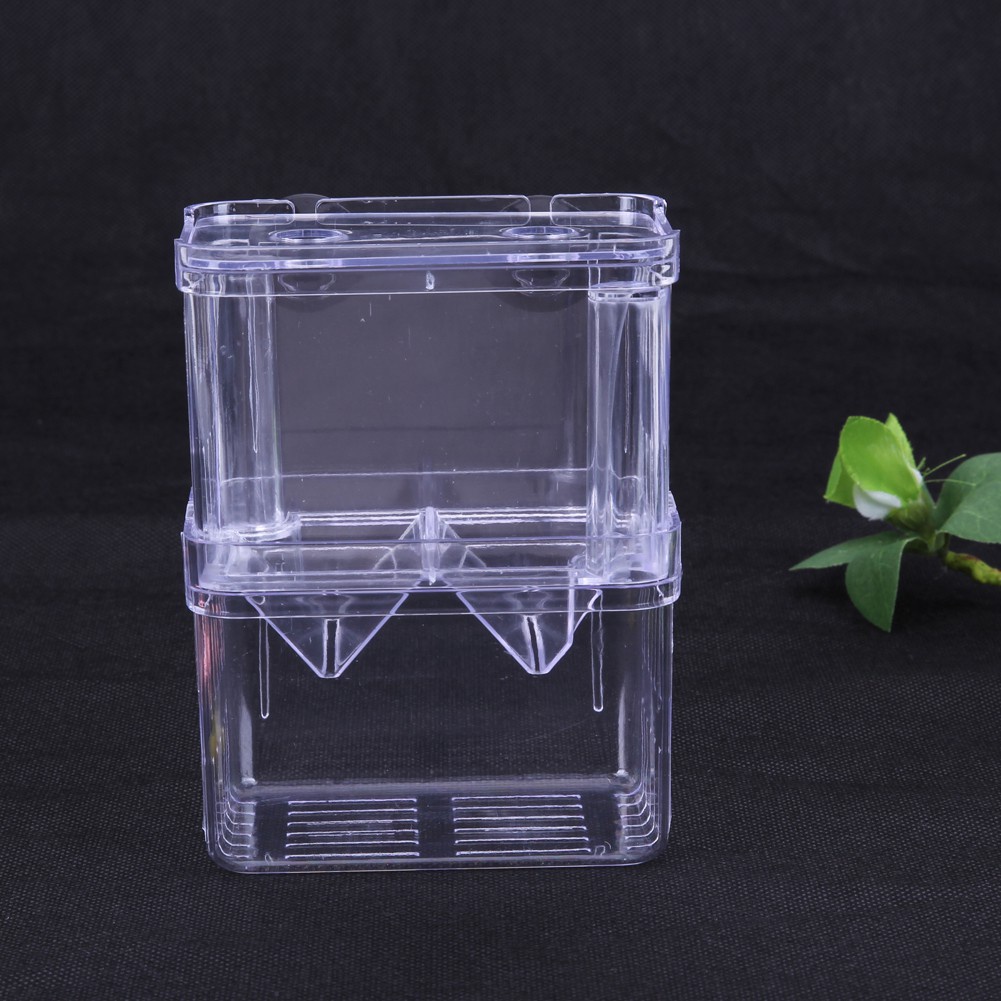 Ready Stock】✜✹✣༺Pr༻Transparent Acrylic Fish Breeding Incubator Isolation  Box