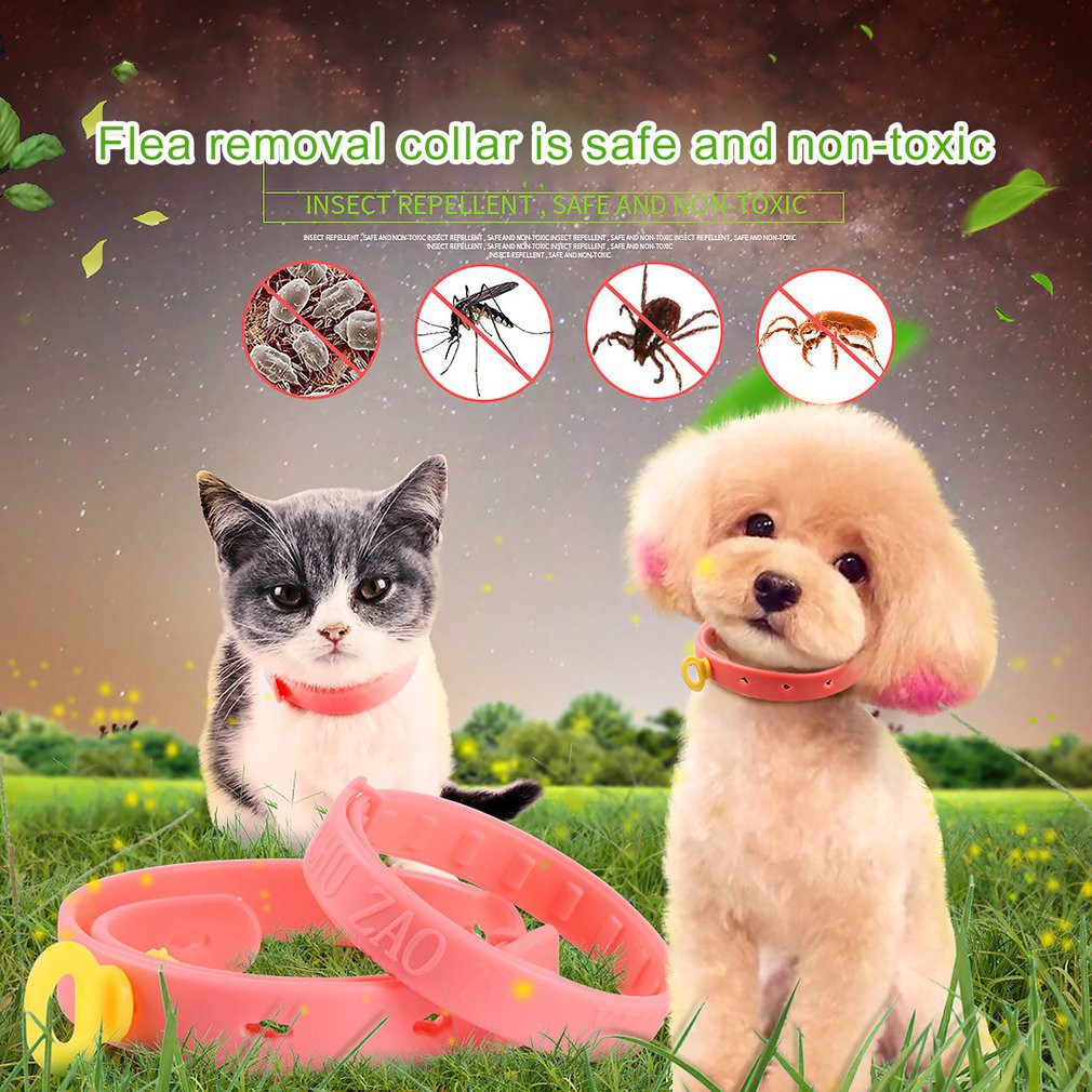 EASY// EG Silicon Pet Dog Cat Anti Lice Plague Mosquitoes Flea Collar ... - Cat Protection From Mosquitoes With Duck