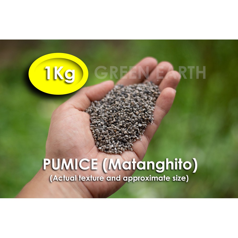 PUMICE Matanghito for Cactus and Succulents (1 Kilo) Shopee Philippines
