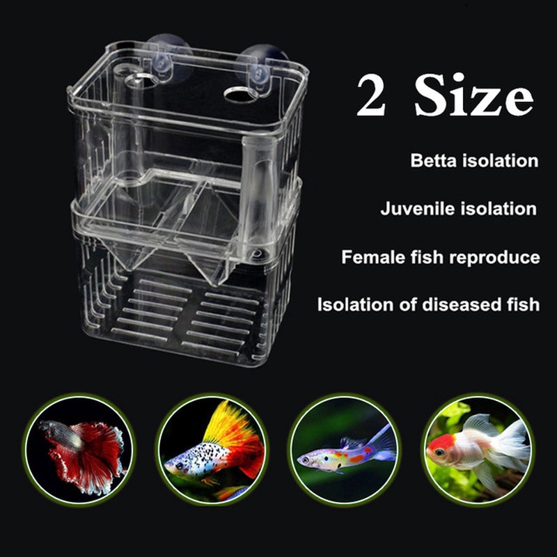 Acrylic Aquarium Floating Box Double Layers Betta Fish Tank For ...