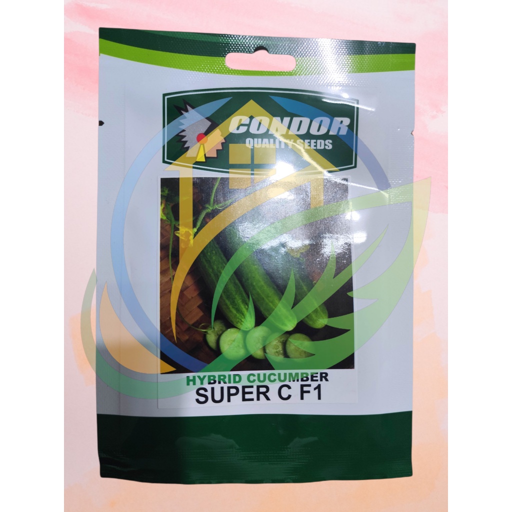 Condor Seeds Asenso Pack Hybrid Cucumber Super C F1 | Shopee Philippines