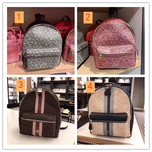 Coach backpack hot sale small size